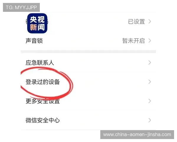澳门金沙官网app安全登录流程详解保障账号安全与顺畅游戏体验全攻略