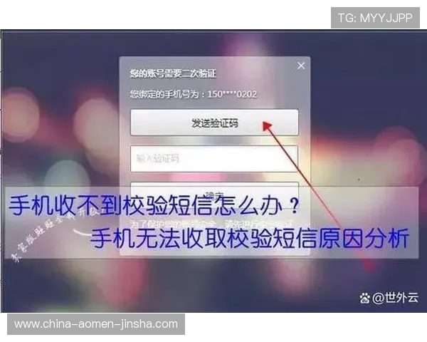 维多利亚注册过程中遇到验证码问题的解决方案详解